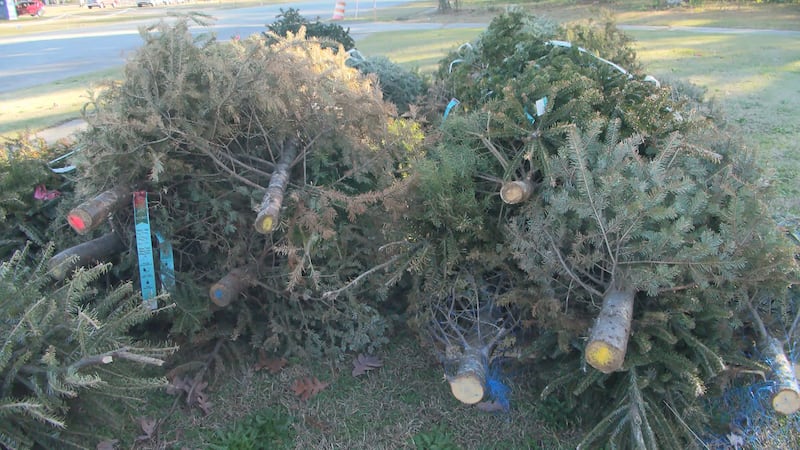 For the ninth year, Kentucky Fish and Wildlife is asking the public to donate their real...