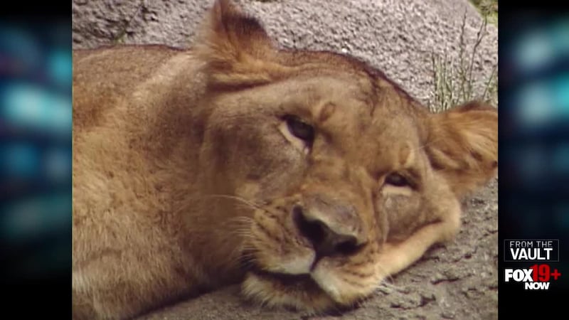 Exotic pet owners risk jail time after a new law was passed, making it illegal to own certain...